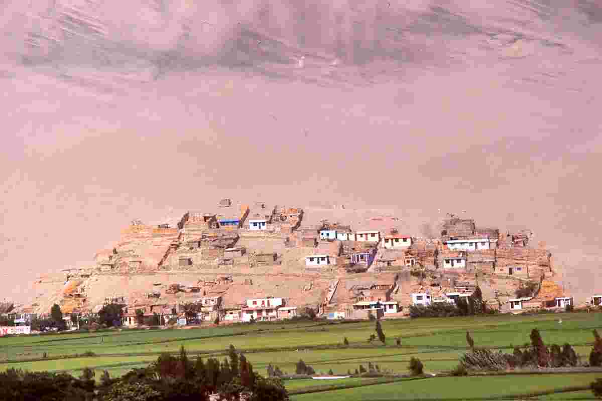 25 kms inland from Camana, dir. Arequipa: desert rice paddies: homes are built into desert flank of mountains to maximize growing area