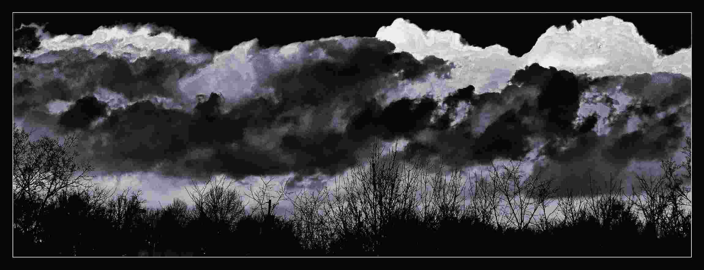 © Tammy Ruggles