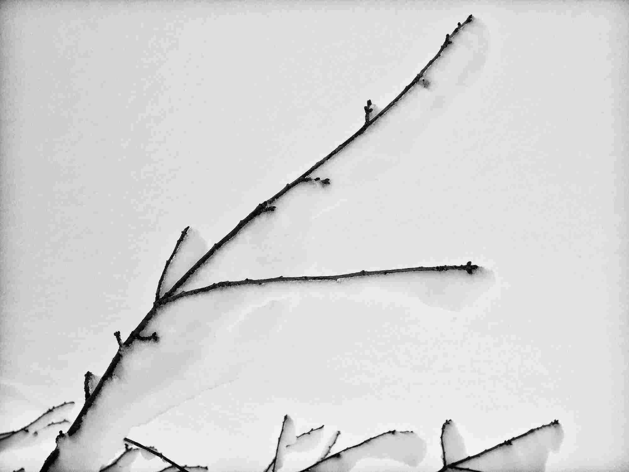 © Tammy Ruggles